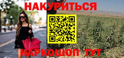 шишки Белореченск
