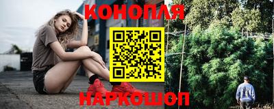 шишки Белореченск