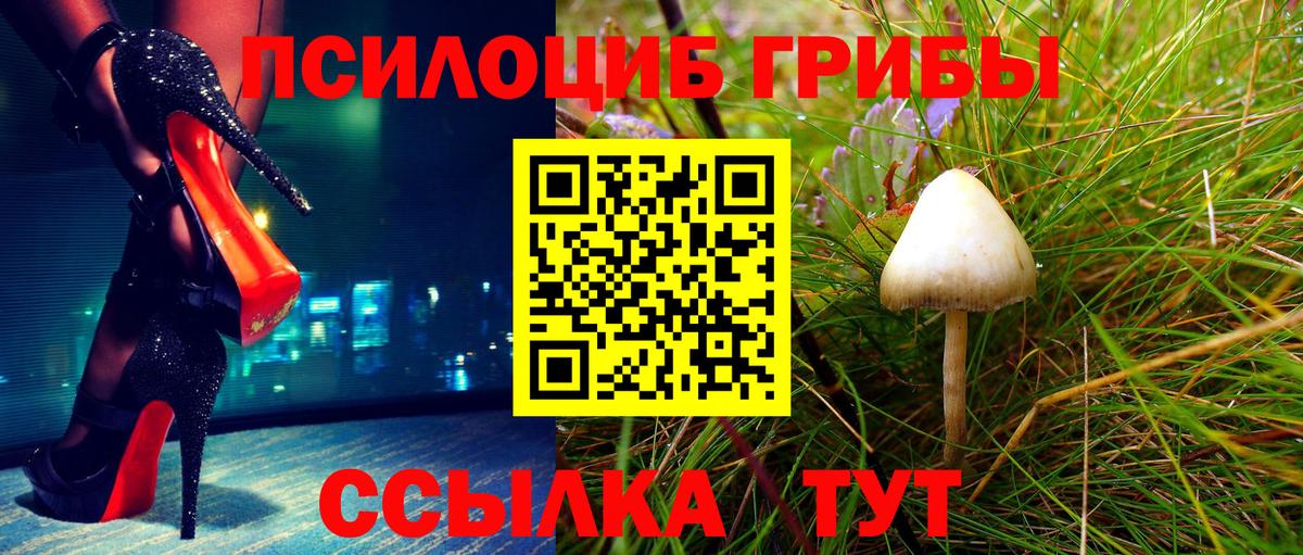 Дивногорск  Псилоцибиновые грибы мицелий  купить наркотики сайты  Вход с VPN 