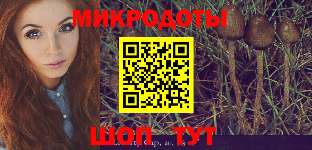 Галлюциногенные грибы Magic Shrooms Дивногорск
